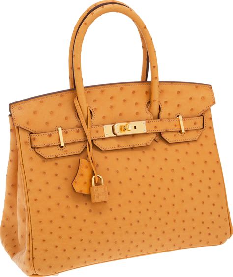 hermes birkin bag ostrich leather|giant Hermes Birkin travel bag.